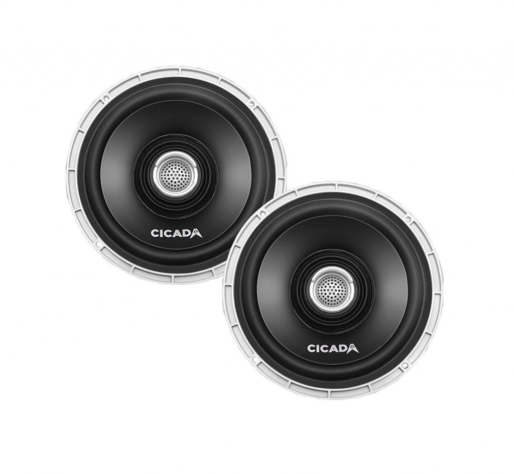 Cicada Audio CX Stage 4 Plug & Play Amp And Speaker Package With