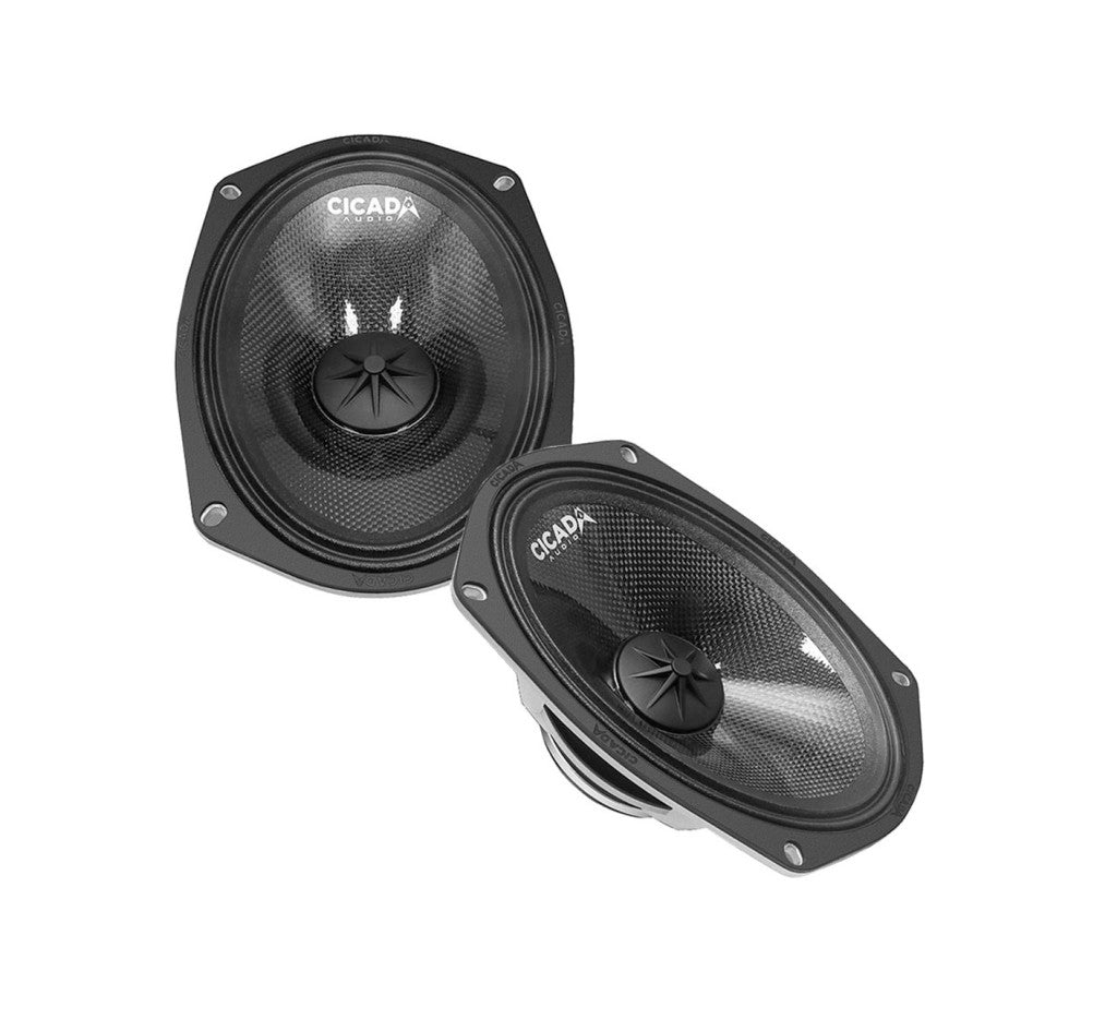Cicada Audio CXX / CMB Stage 4 Plug & Play Amp And Speaker Package